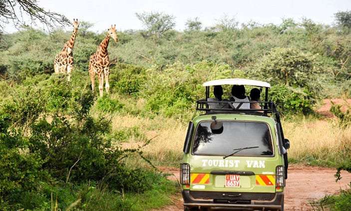 3 Days Murchison Falls Safari 6 What to pack on African safari!