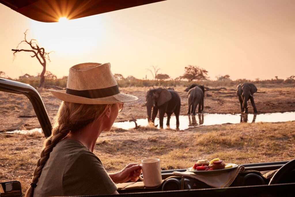 How to Safari in East Africa