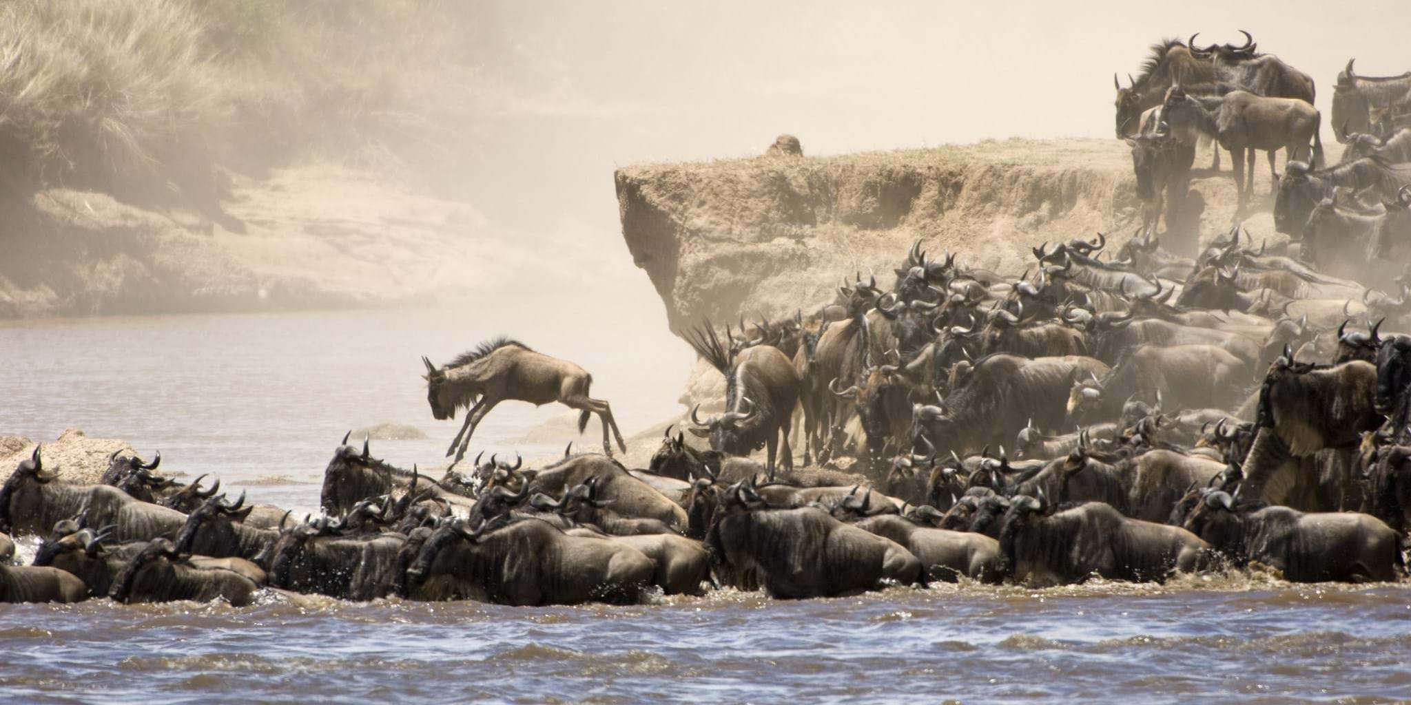 4 Days Masai Mara and Lake Nakuru Safari 4 shutterstock_61479919