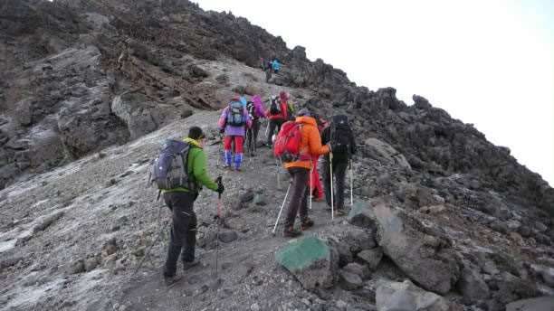8-Day Kilimanjaro Climb Lemosho Route Summit 10 Kilimanjaro Climb Lemosho Route