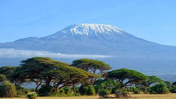 8-Day Kilimanjaro Climb Lemosho Route Summit 7 Kilimanjaro Climb Lemosho Route