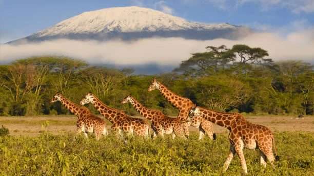 Luxury Tanzania Safari Holidays